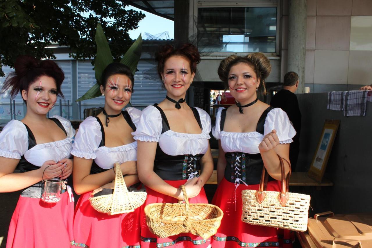 Gites D'Illfurth Kültér fotó