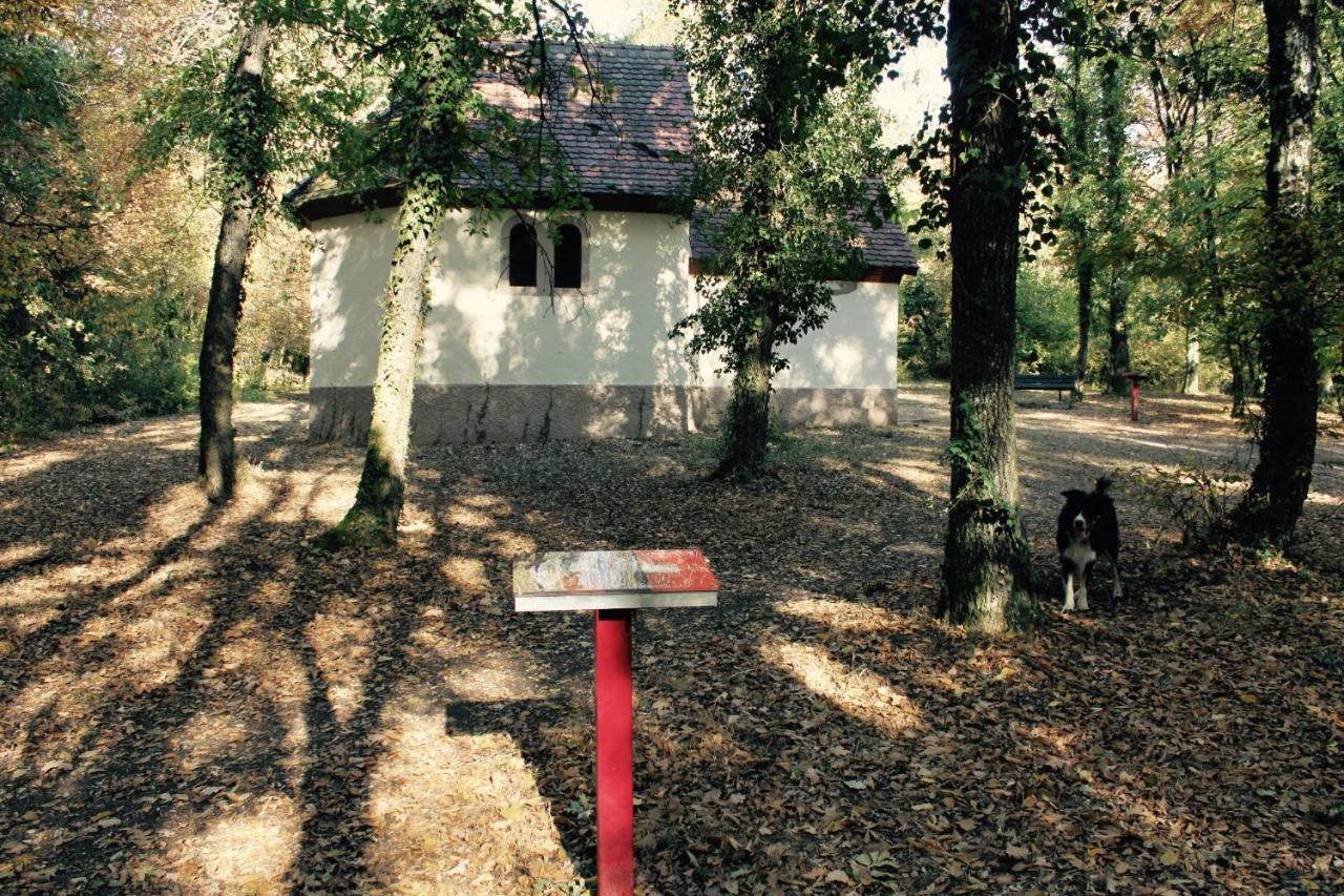 Gites D'Illfurth Kültér fotó