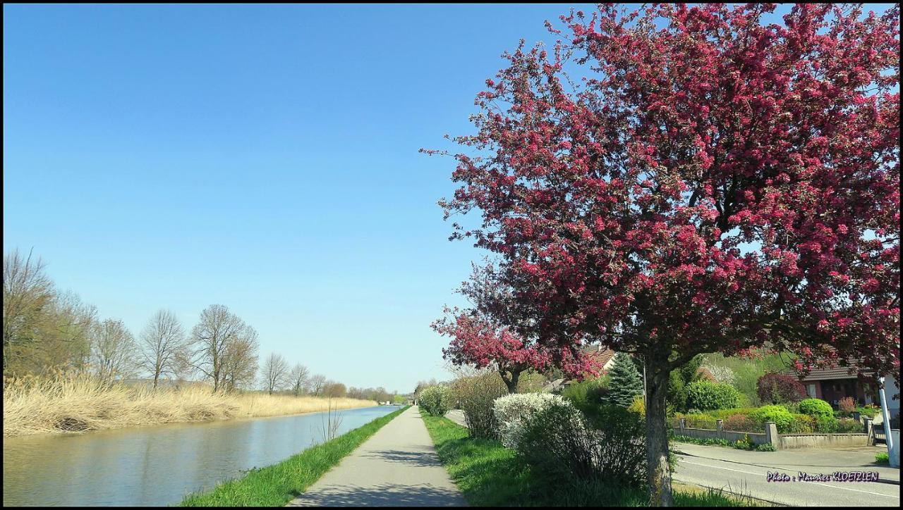 Gites D'Illfurth Kültér fotó